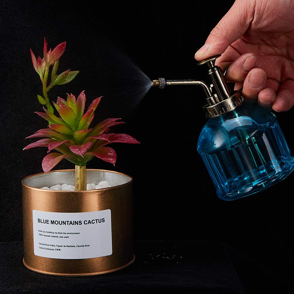 Lipfer Plant Mister Spray Bottle a 300 di Annaffiato in Acciaio Inossidabile per Piante Interno Succulente Giardino Bonsino a Spritzer Utensili Giardino Spritzer
