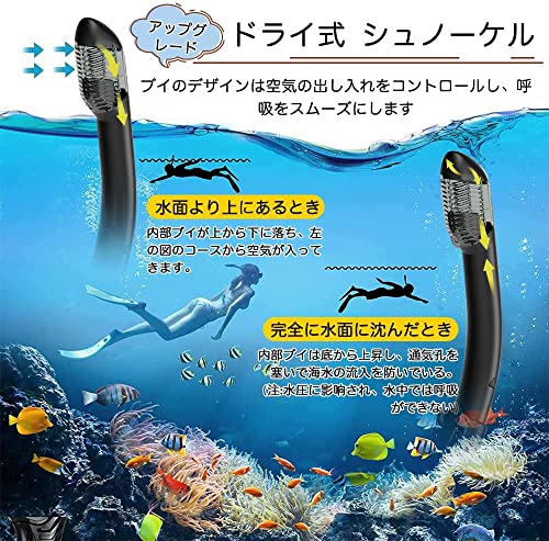 [MF株] シュノーケルセット シュノーケリング 2点 セット ス