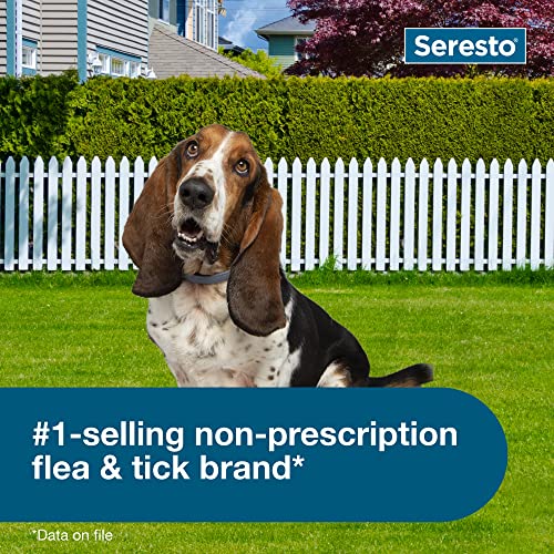 Seresto Small Dog For Dogs Under 18 Lbs. & Seresto For Cats Vet-Recommended Flea & Tick Treatment & Prevention Collars | 8 Months Protection Each #TOP4