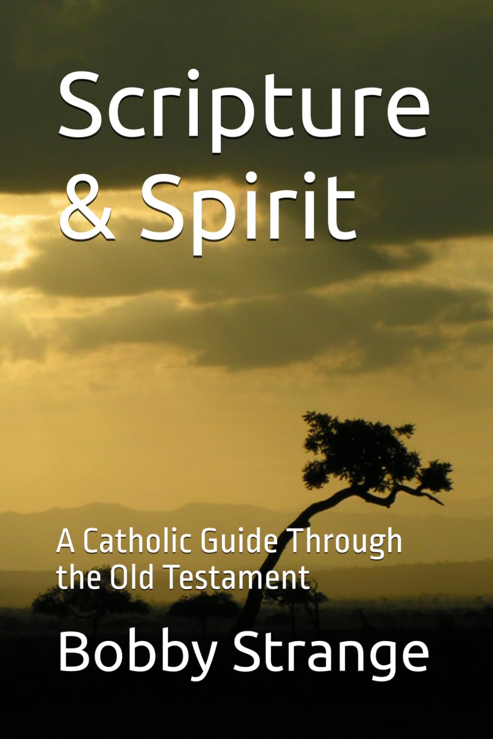Scripture & Spirit: A Catholic Guide to the Old Testament