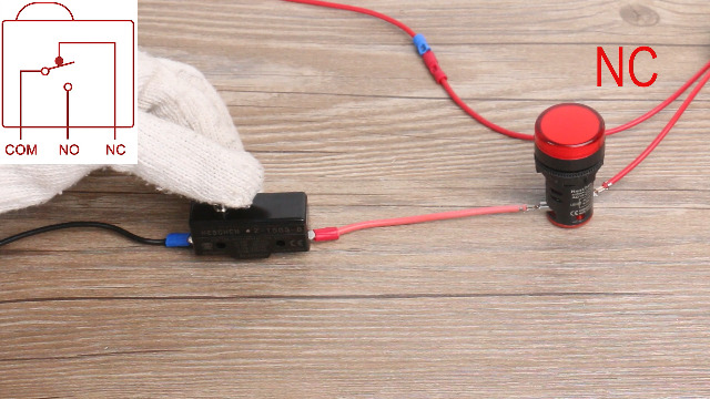 Amazon.com: Heschen Micro Switch, Z-15GS-B, Slim Spring Plunger, 3