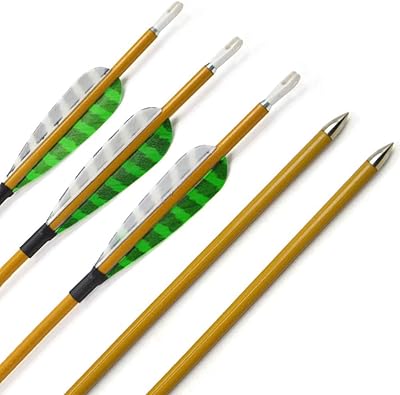 ZSHJG 12 Pieces Carbon Arrows 31 Inch Hunting Target Arrows with 3 Inch Turkey Feather Spine 900 Carbon Practice Arrows for Recurve Compound Bow (Green White)