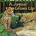 A Jaguar Grows Up (Wild Animals)