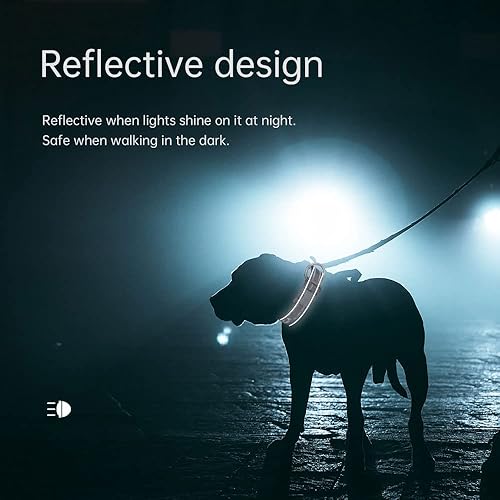 Miniatura 3 de EXCELLENT ELITE SPANKER Collar reflectante para perro, clásico collar ajustable de nailon transpirable para mascotas con hebilla de liberación