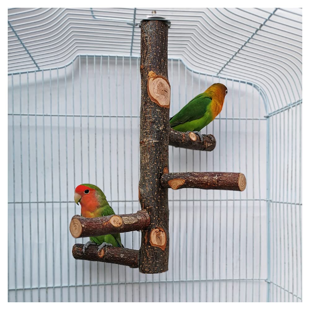 perchoir bois naturel pour cage de