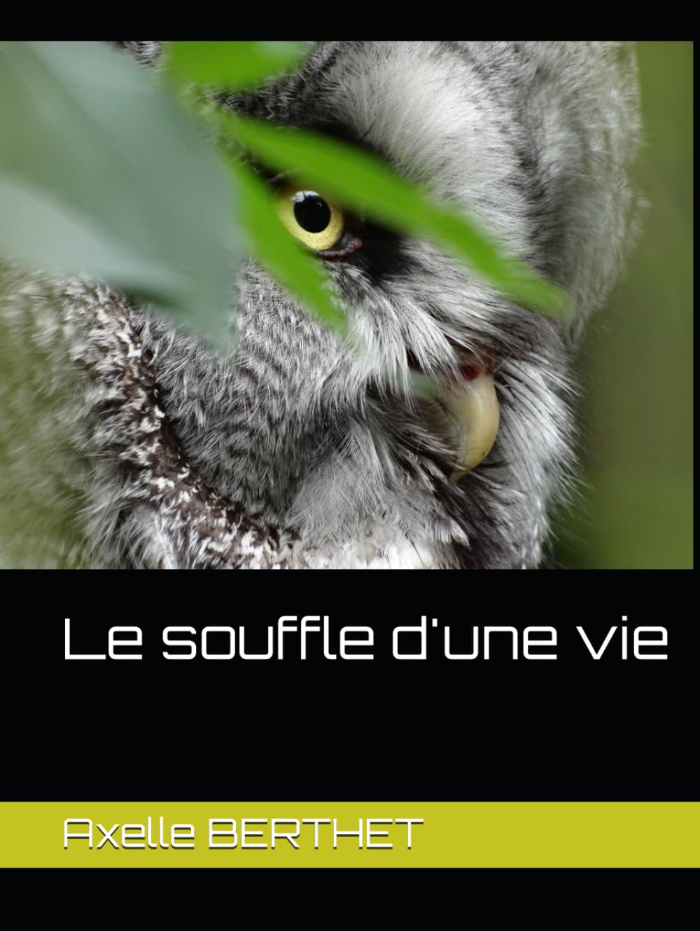 Le souffle d'une vie