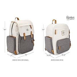 Parker Baby Co. Diaper Backpack - Large Diaper Bag with Insulated Pockets, Stroller Straps and Changing Pad -Birch Bag - Gray