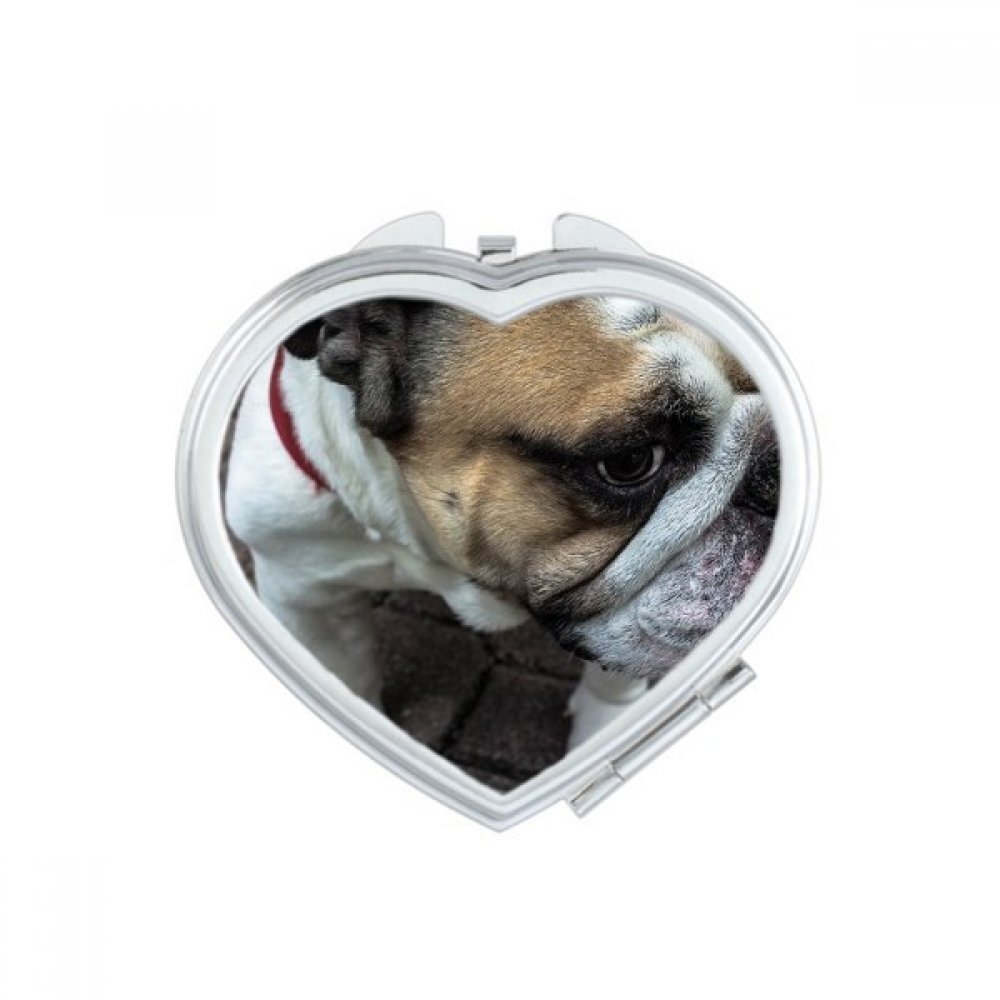 Miroir de poche Husky mignon, le cadeau multicolore idéal en forme de cœur pour femme