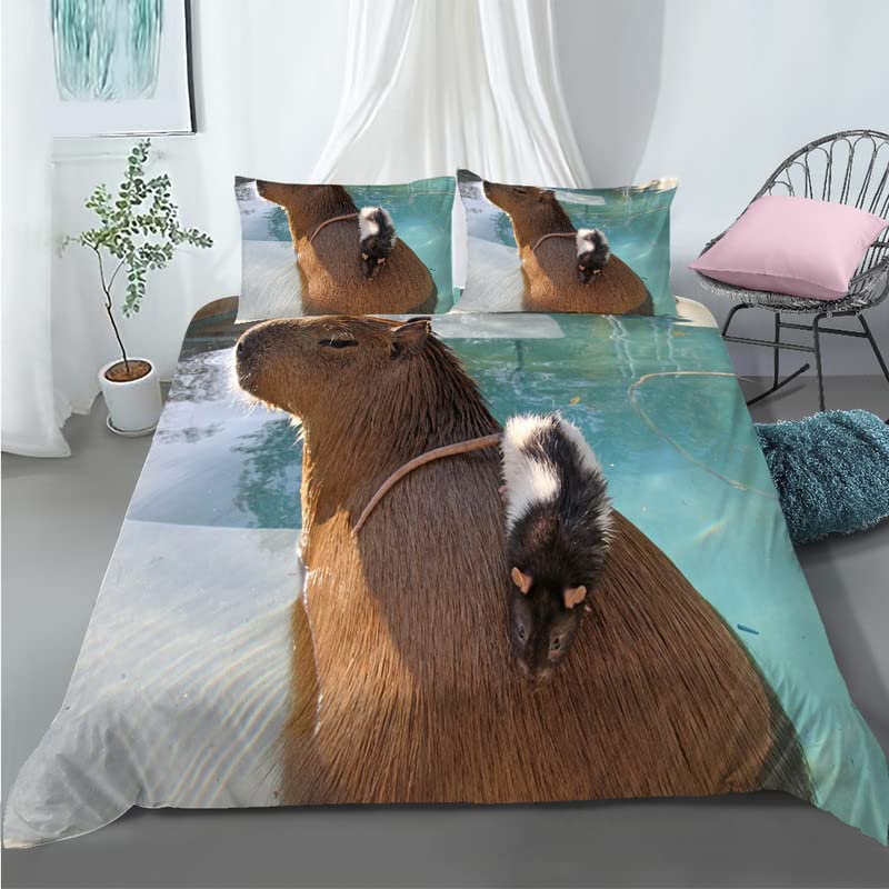 Housse de couette fermeture éclair 240x260 pour changer de lit sans effort