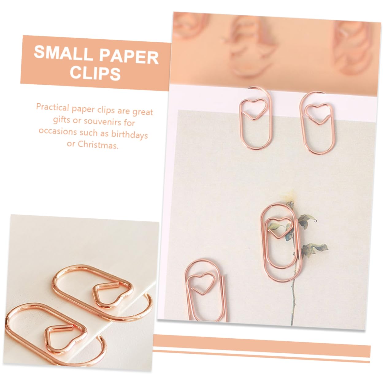 OSALADI 5 Set Graffette Metalliche Confezione Elegante Per Ufficio E Scuola Clip Per Documenti Piccole E Colorate Organizzazione File E 200 Pezzi * 5