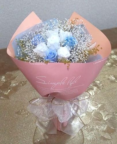 vU[uht[AW@ݑu[P@ԑ@v` @@EFfO@uC_@TV