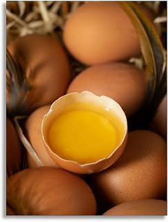 Bathroom Wall Art Eggs inside chicken coop farm interior scene fresh eggs and Pictures Wall Decor Framed Canvas Wall Art for Bedroom Artwork Paintings Living Room Kitchen Farmhouse 16x20