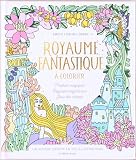 Royaume fantastique à colorier: Un voyage créatif en 100 illustrations