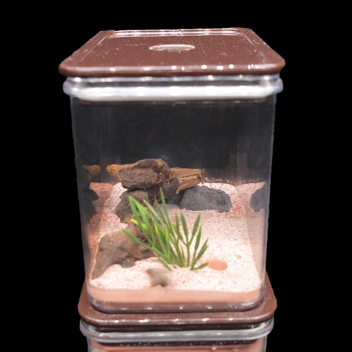 Stereoskopische Acrylbeobachtung Nest Ameisenburg aus Gips, Ameisenaufzuchtkasten, Betonhabitat, Ameisenhauskasten, Ameisenwerkstatt-Kit, Ameisenfütterungsvilla, geeignet for Kinder und Erwachsene, wi