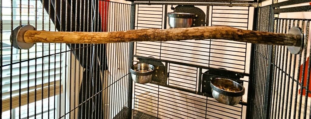 Polly's Full Length Hardwood Bird Perch, 24-Inch, (26