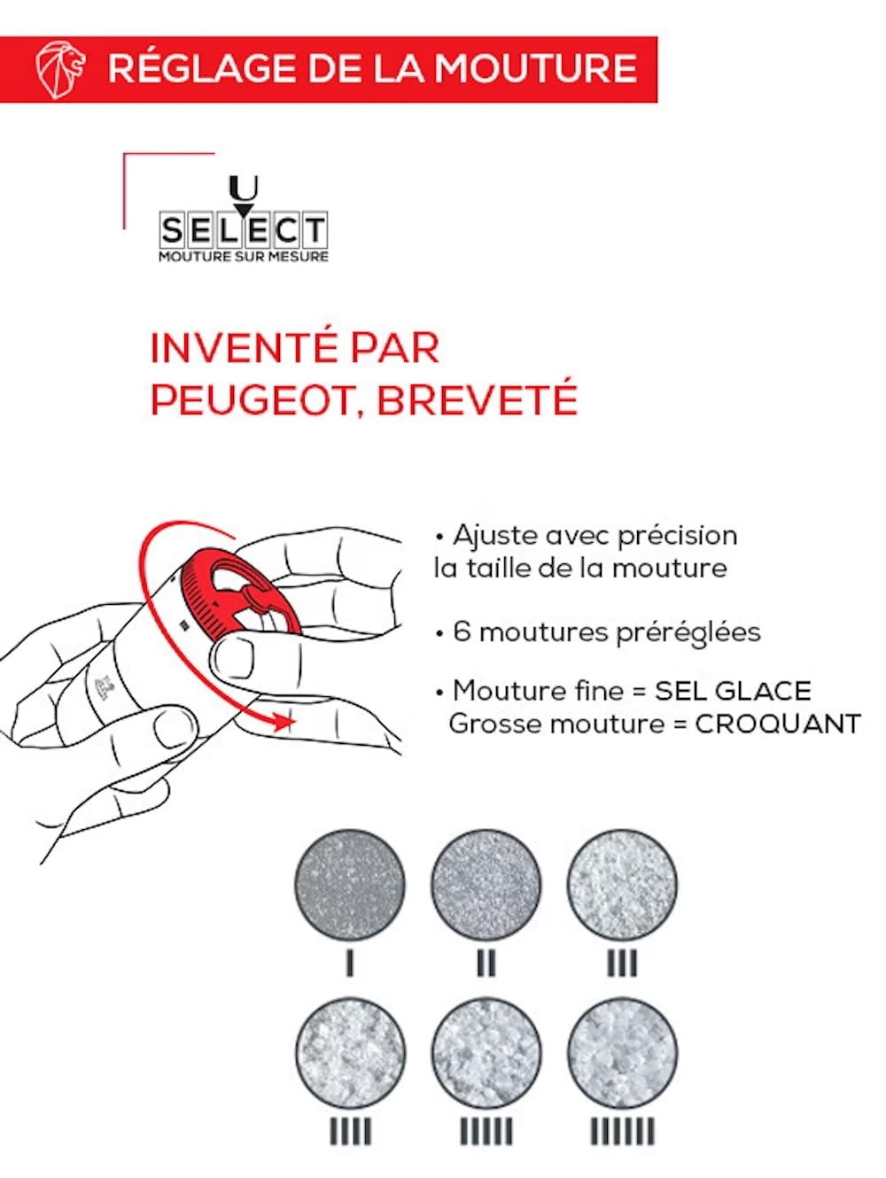 PEUGEOT - Bar À Sel Maestro - Moulin À Sel 10cm Réglage U'Select - Innovation Sel Glace, Mécanisme Zirlion - Fabrication Française - en Bois PEFC & INOX - Coloris Graphite