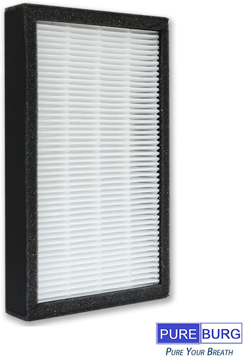 PUREBURG Replacement True HEPA Filter Set Compatible with GermGuardian AC4100 AC4100CA AC4150BL AC4150PCA AC4150PC,Part Number FLT4100, Filter E, FLT11CB4,Activated carbon Pre-Filters