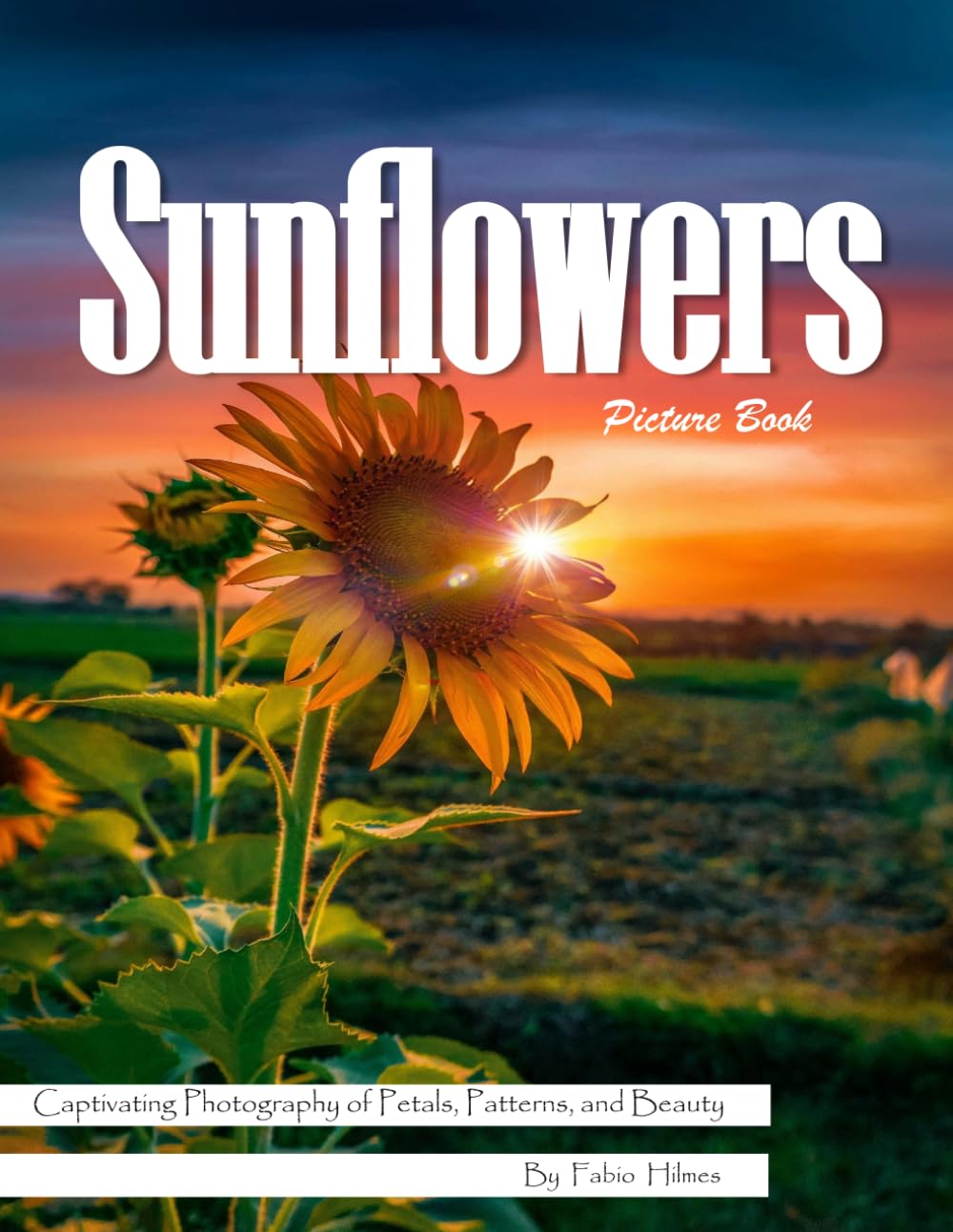 Sunflowers: A Bright Visual Celebration of Nature's Happiest Flower – with a Beginner's Guide to Growing Sunflowers for Seniors, Alzheimer's Sufferers, and Garden Lovers.