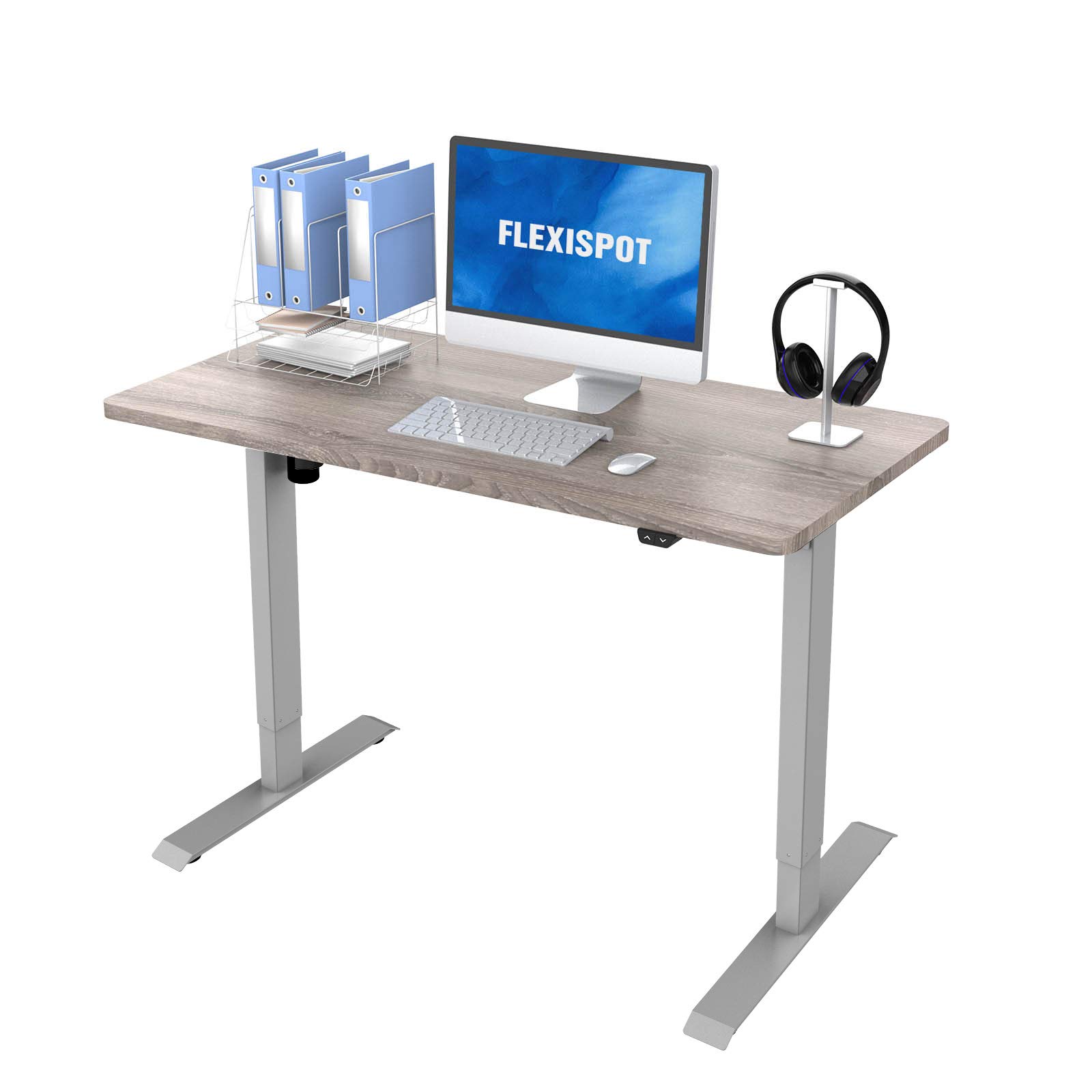 Buy Flexispot EC1 Adjustable Desk, Electric Standing Desk Sit Stand