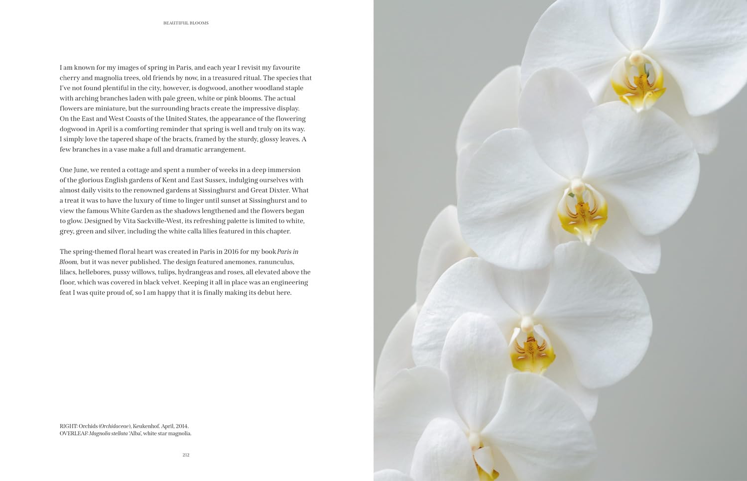 Beautiful Blooms: The ultimate inspiration for anyone who loves flowers, design and photography.