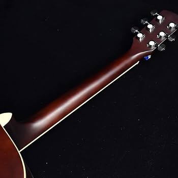 Amazon | Soldin SFG-15 ツヤ消しブラウンサンバースト