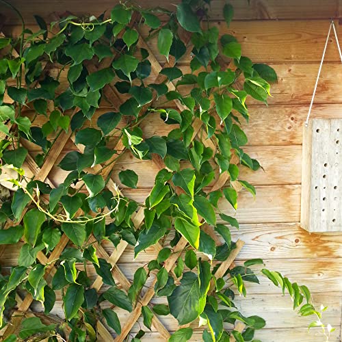 Windhager Holz-Spalier, Rankhilfe, Rankgitter, Holzzaun, Pflanzengitter zusammenfaltbar, variabel verstellbar, 45 x 180 cm, natur