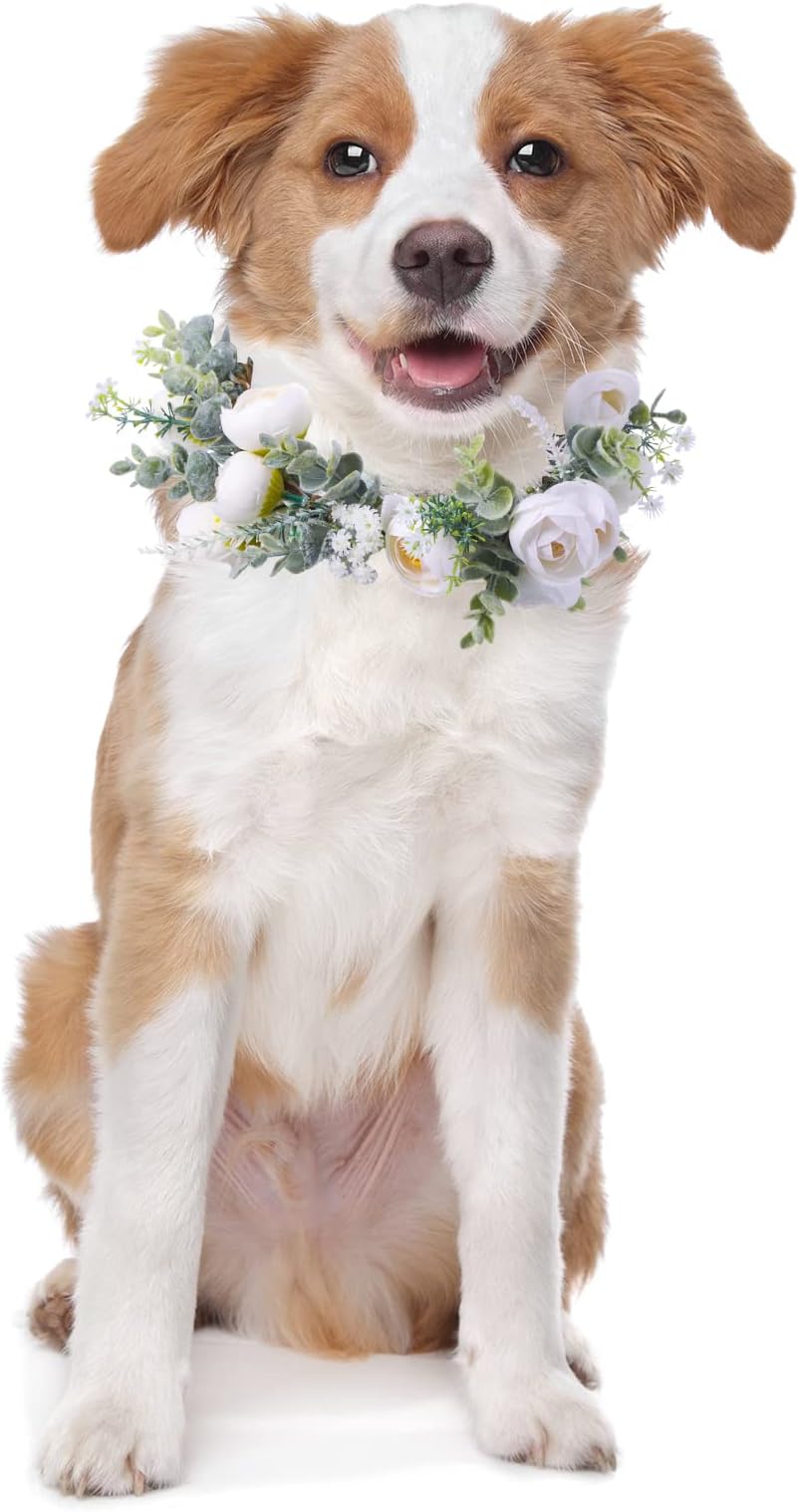 Dog Wedding Flower Collar Adjustable Artificial White Rose Floral Attire Wreath with Ribbon Photo Prop Accessories for Female Male Dog Engagement Bridal Shower(Medium)