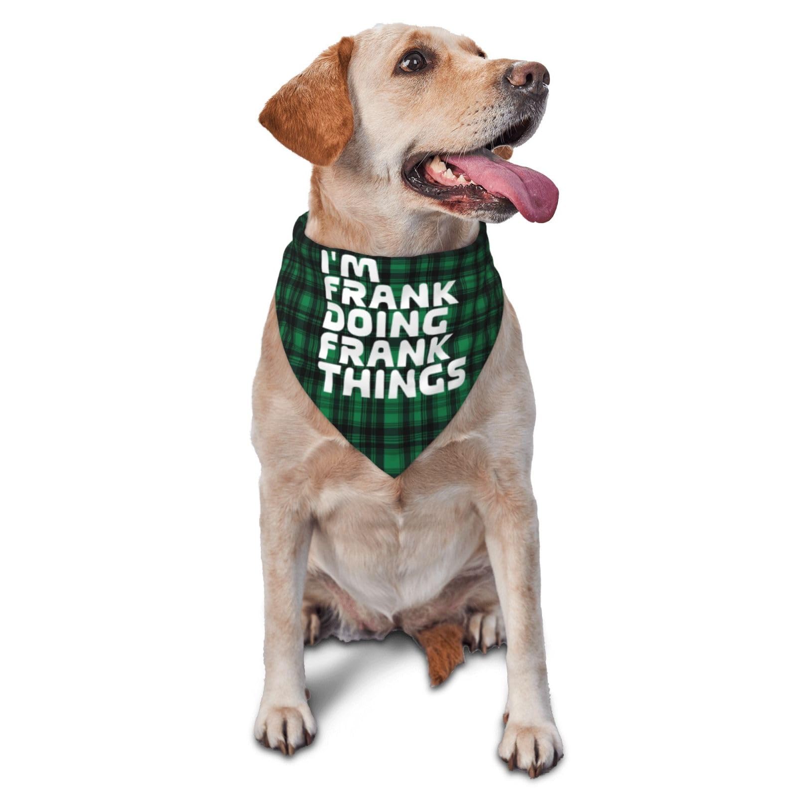I'm Frank Doing Frank Things Dog Scarf Pet Bandana Cat Pet Bibs
