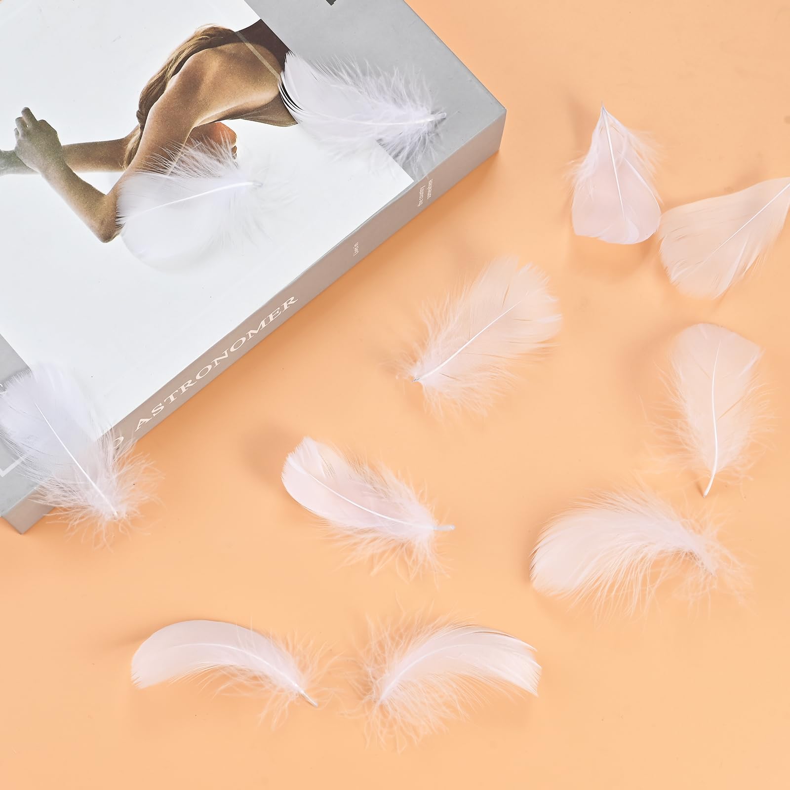 Lot De 300 Plumes Décoratives Blanches TOPCZY – 3,9 à 8,3 Cm, Naturelles, Pour DIY, Mariage, Fête, Attrape-Rêves Et Déco - 12