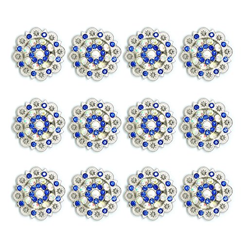 MarryAcc Berry Conchos with Screws Metal Flower Rhinestone Conchos 12 Pieces (Color 12)