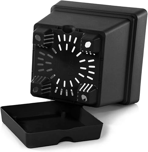 Miniatura 36 de Mintra - Macetas de plástico para plantas, maceta cuadrada para plantas de interior y exterior, macetas de jardín con platillos y agujeros de verde