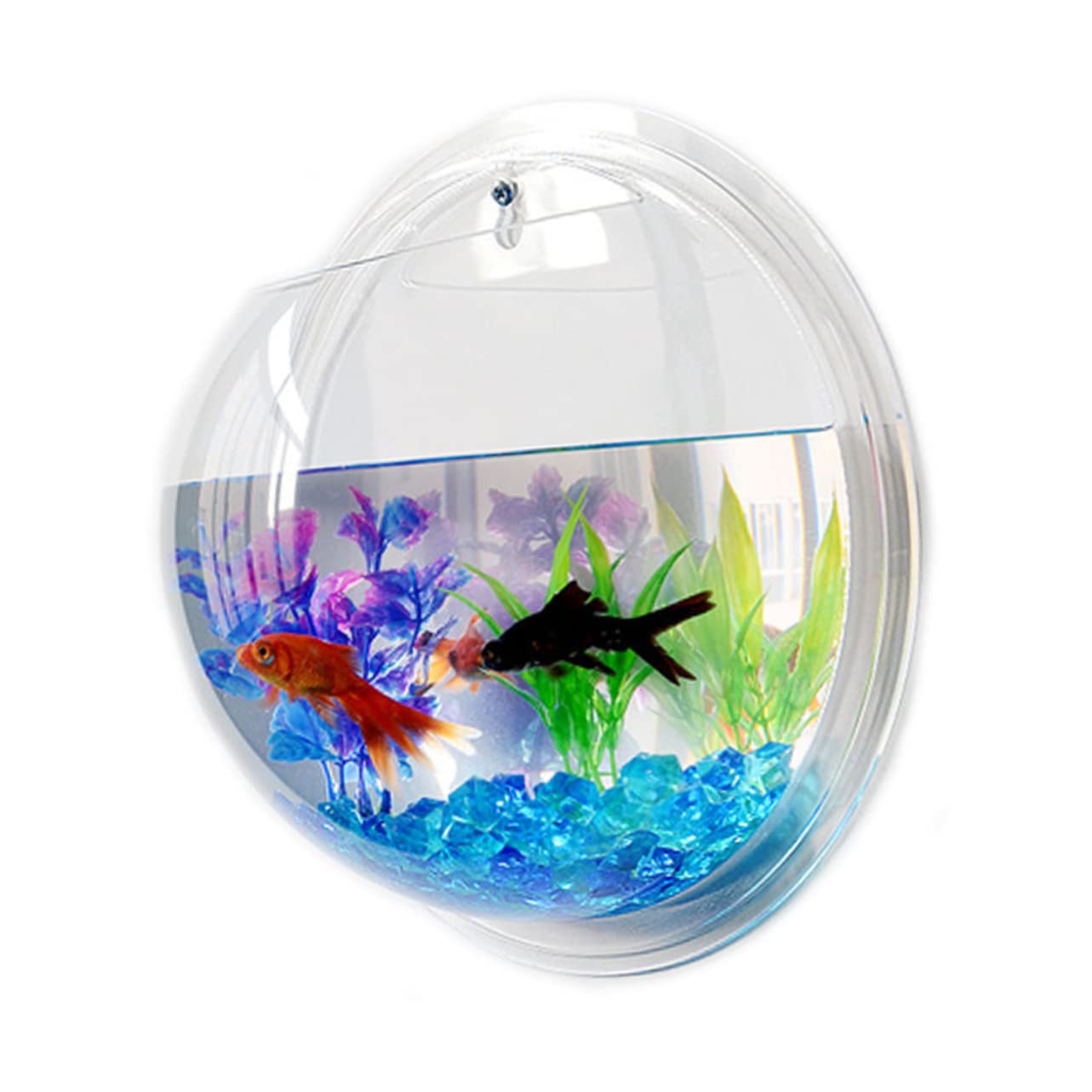 Toddmomy 3 Pièces Aquarium De Poissons Bols À Poissons pour Betta Cylindre De Poisson Aquarium Réservoirs D'Aquarium Suspendus en Acrylique Transparent Bol À Poisson Mural Bol D'Aquarium
