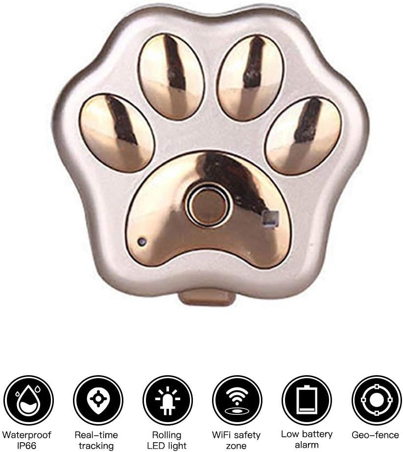pet tracker per cani senza canone mensile