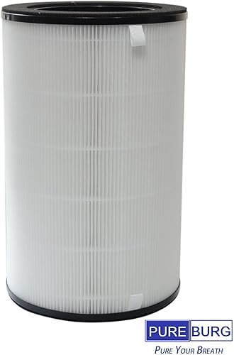 Miniatura 4 de PUREBURG AP-T40FL - Filtro de repuesto compatible con Homedics AP-T45 AP-T40 1461901 (modelo Costco) Purificador de aire TotalClean, paquete de 2