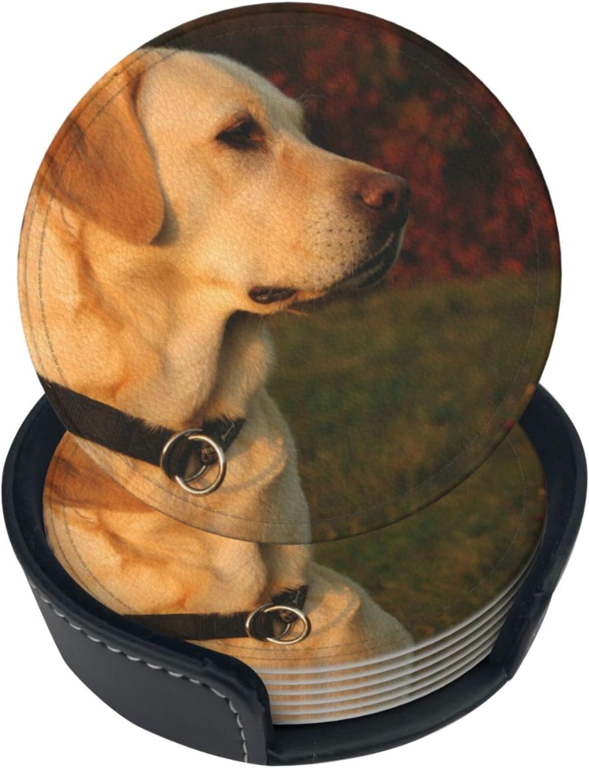 6 Pcs Golden Lab Labrador Retriever Family Loyal Hunting Dog Leather Coasters for Drinks with Holder Coaster Sets Drink Table Cup Coasters for Living Room Kitchen Coffee Decor