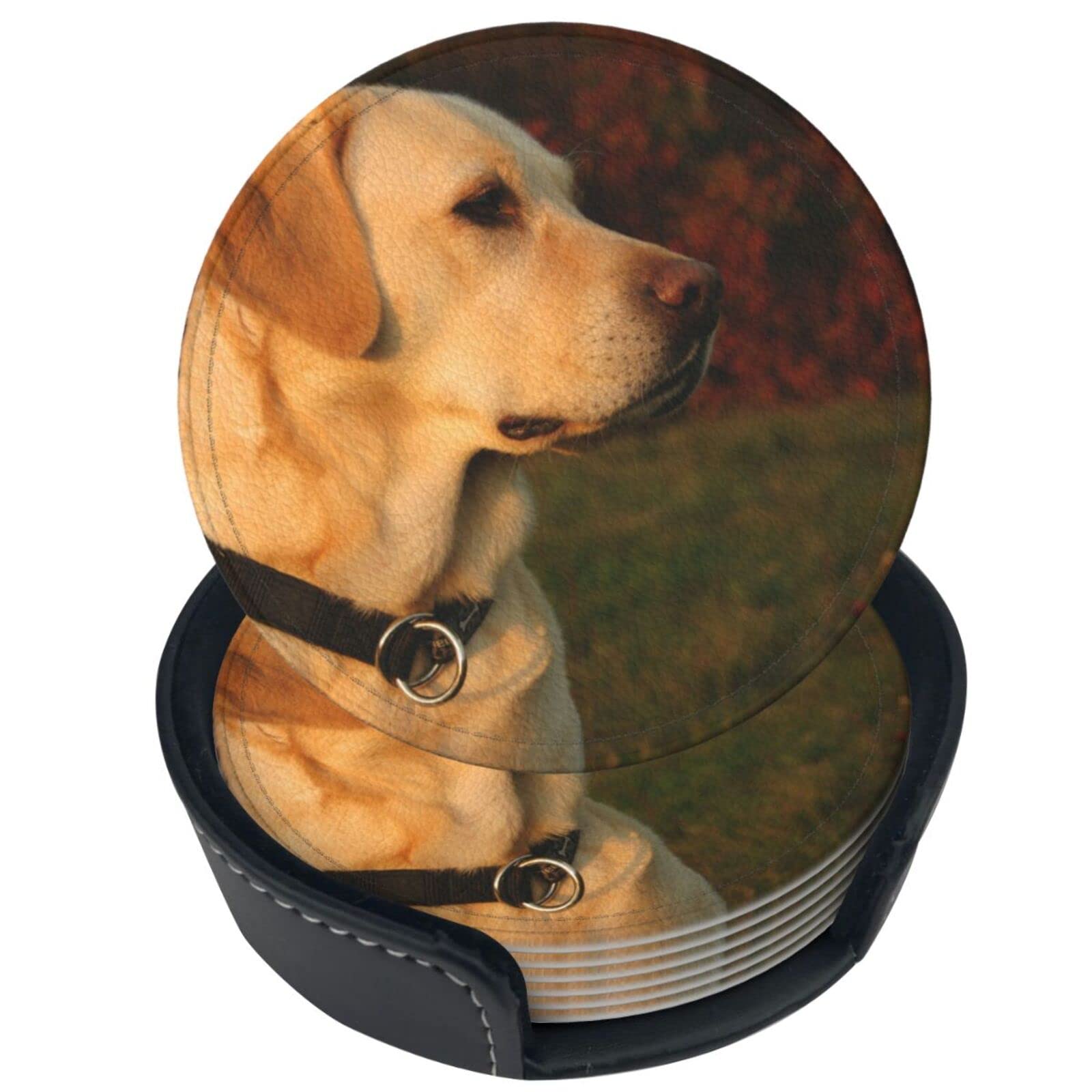 6 Pcs Golden Lab Labrador Retriever Family Loyal Hunting Dog Leather Coasters for Drinks with Holder Coaster Sets Drink Table Cup Coasters for Living Room Kitchen Coffee Decor