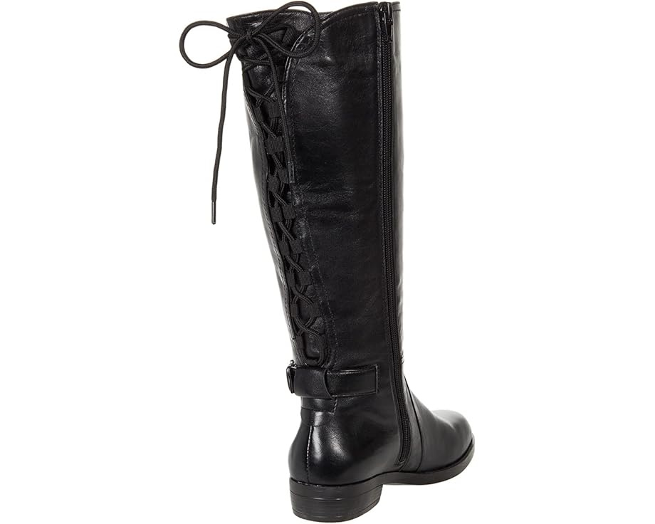 David Tate Lasso - Back View