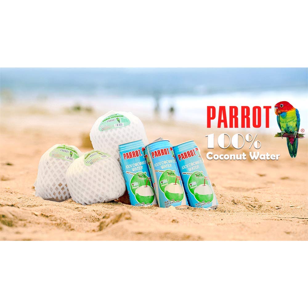 Parrot Brand Coconut Water No Pulp 500ml 16.9 fl. oz.100 Juice