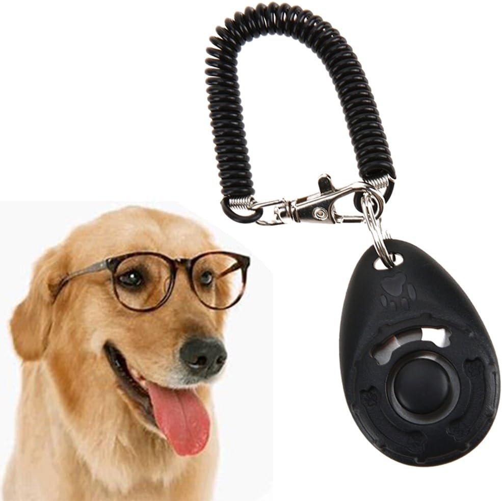 Dog Training Clicker with Wrist Strap Ellipse Big Button Pet Training
