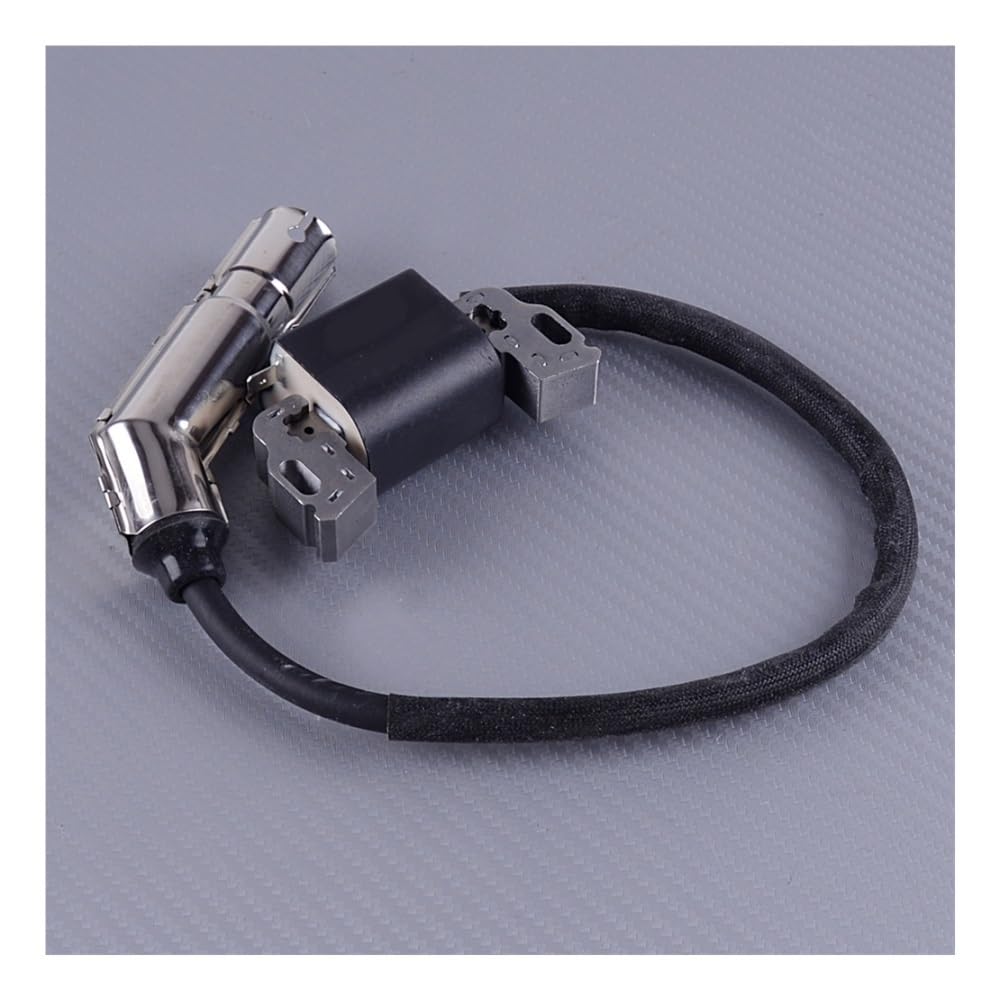 Bobina de encendido 795315 modulo de arranque motor 21A902 pieza de repuesto 592841
