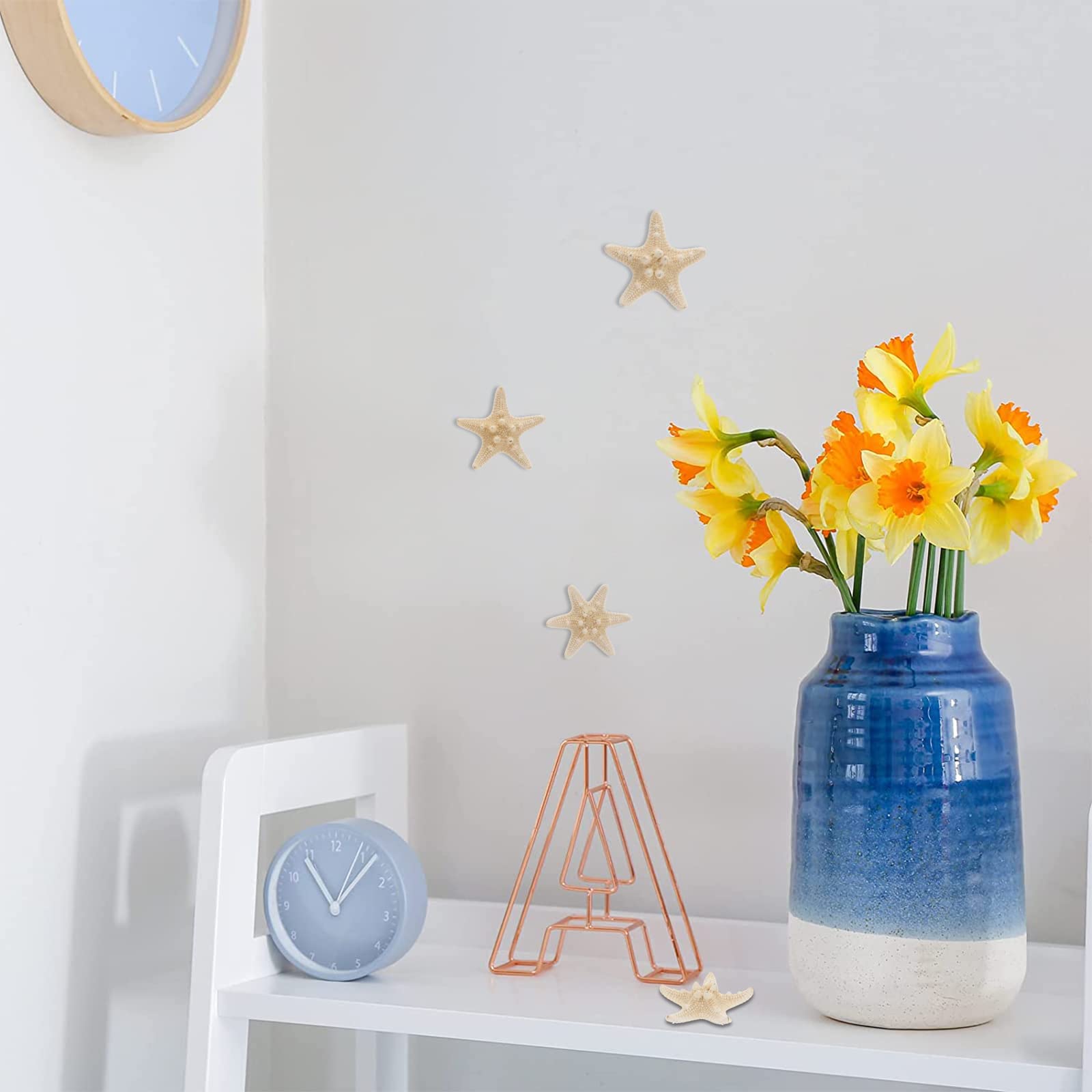 Amosfun Juego de 4 Conchas de Estrellas de mar Naturales para decoración náutica (5-8 cm)