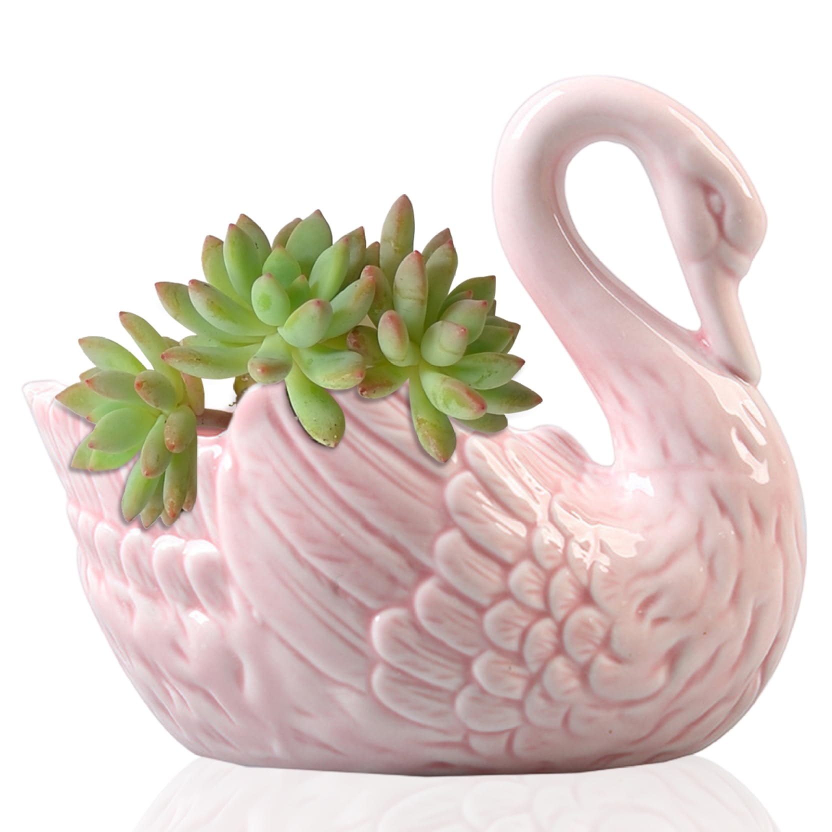Hintyne succulent pot Succulent Plant Pot, Swan Flower, Small Plant Pots, Multi-Function Candlestick Swan Ceramic Ornaments Jewelry Storage Box 9.5x9.8cm, rosy