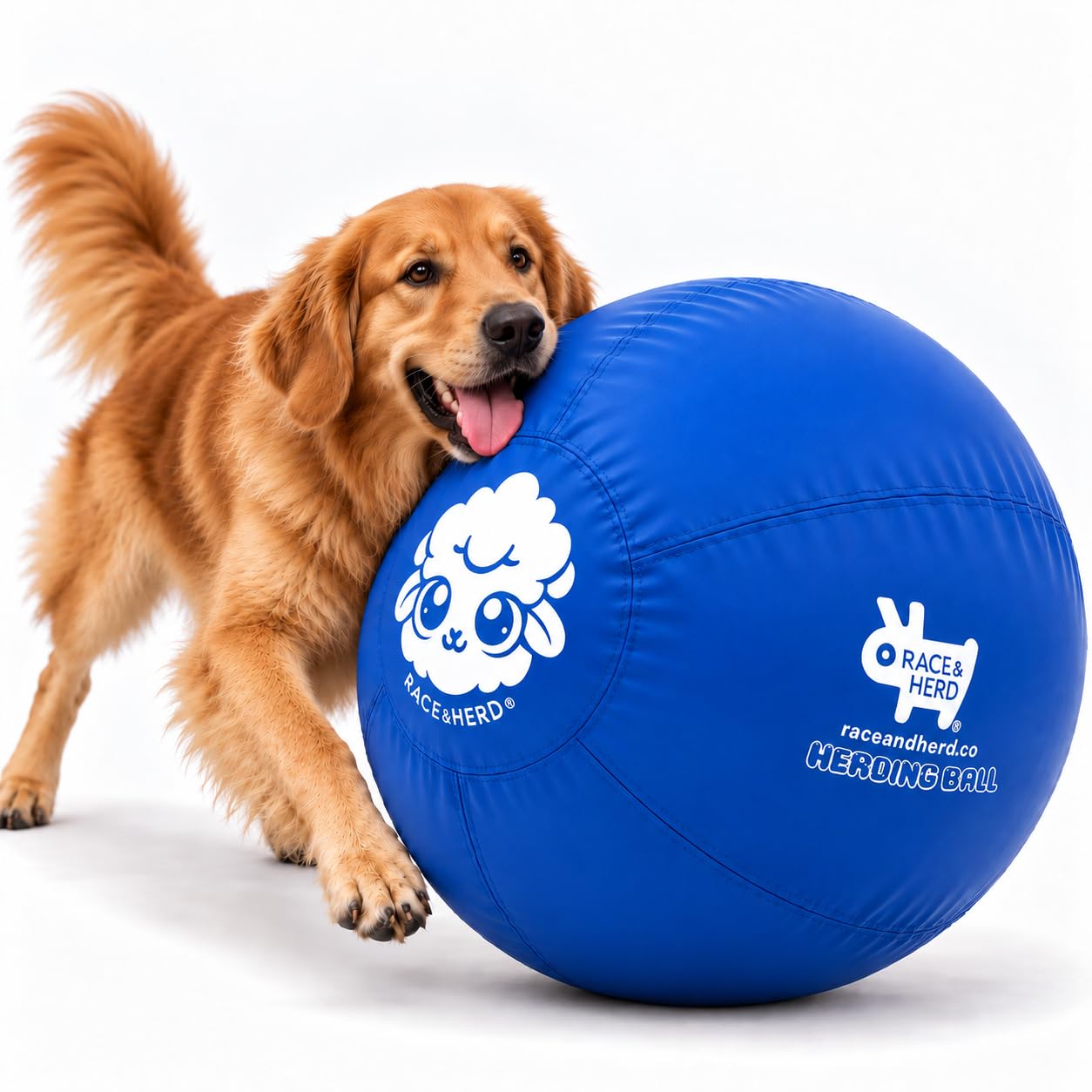 Race&amp;Herd 30" Original Herding Ball — Cover, Inner Ball &amp; Pump (Ocean)