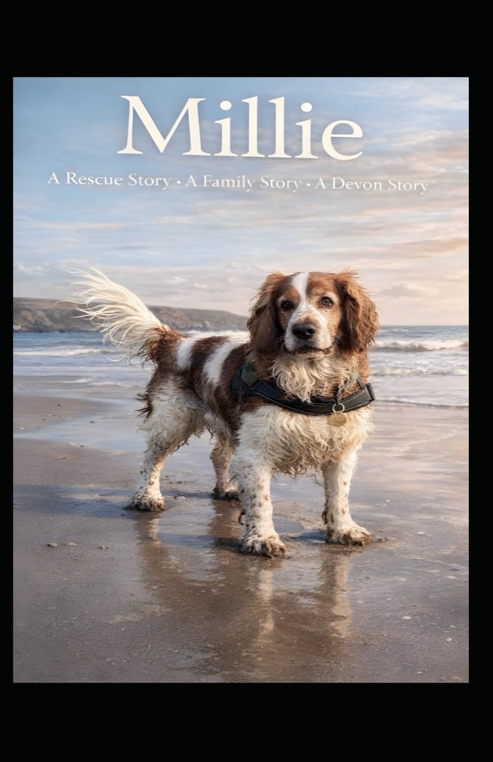 Millie: A Rescue Story . A Family Story . A Devon Story
