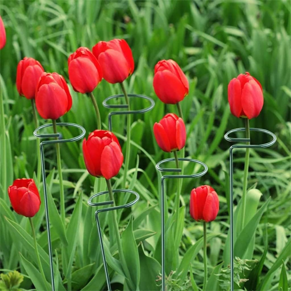 AEBDF 10 PCS Plant Support Stakes Garden Single Stem Stake Cage Rings Amaryllis Tomatoes : Patio, Lawn & Garden