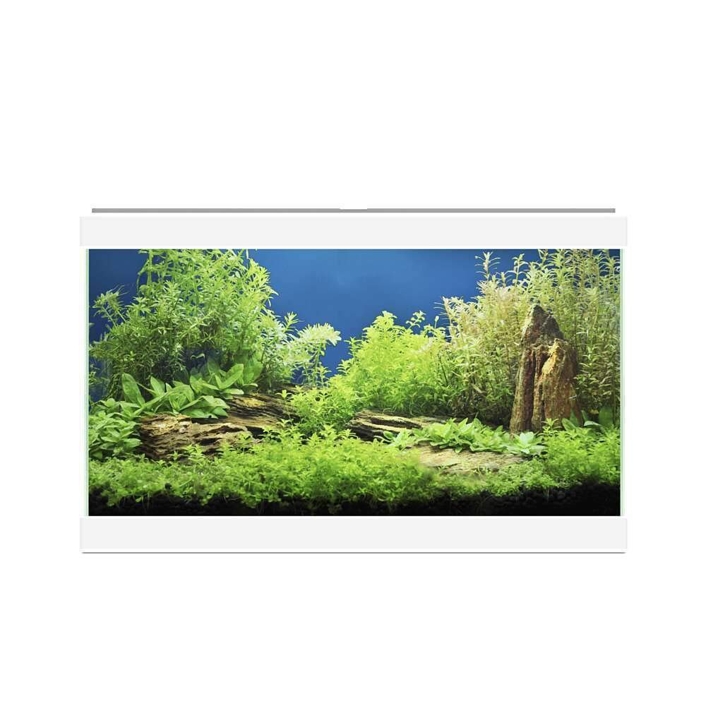 ASKOLL Acquario Aqua 20 bianco 40x20x31 con led e filtro 17 litri