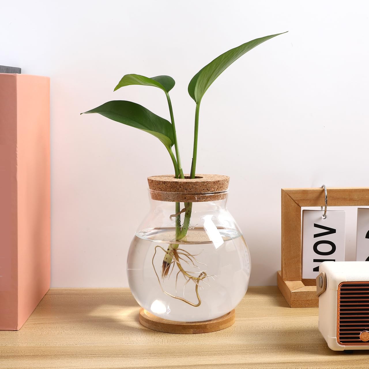 Aquarium hydroponique de bureau avec base en verre Betta Aquarium décoratif pour plantes pour la décoration