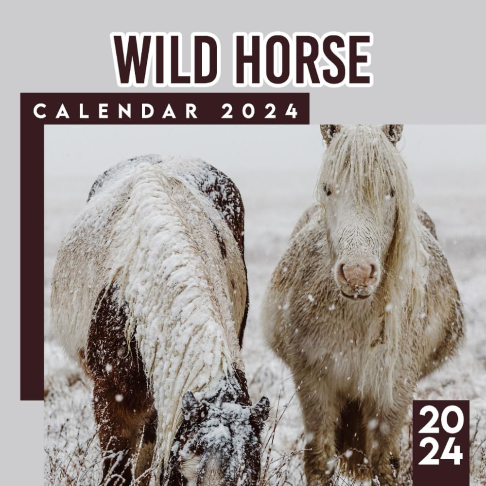 Wild Horse Calendar 20242025 Animals Calendar 2024 From January to