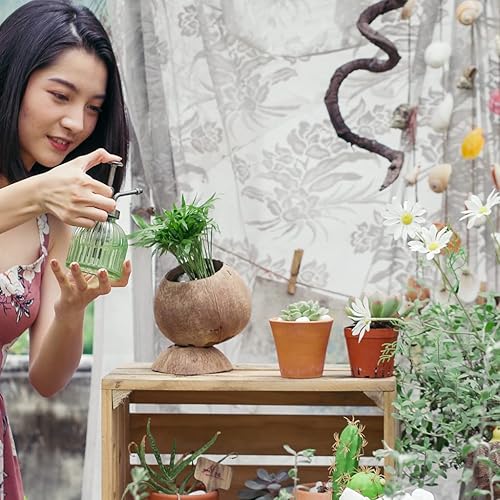 Miniatura 4 de Rainforest Bowls Juego de 2 macetas de coco con pedestal con orificio de drenaje, perfectas para suculentas, flores, plantas pequeñas, jardines