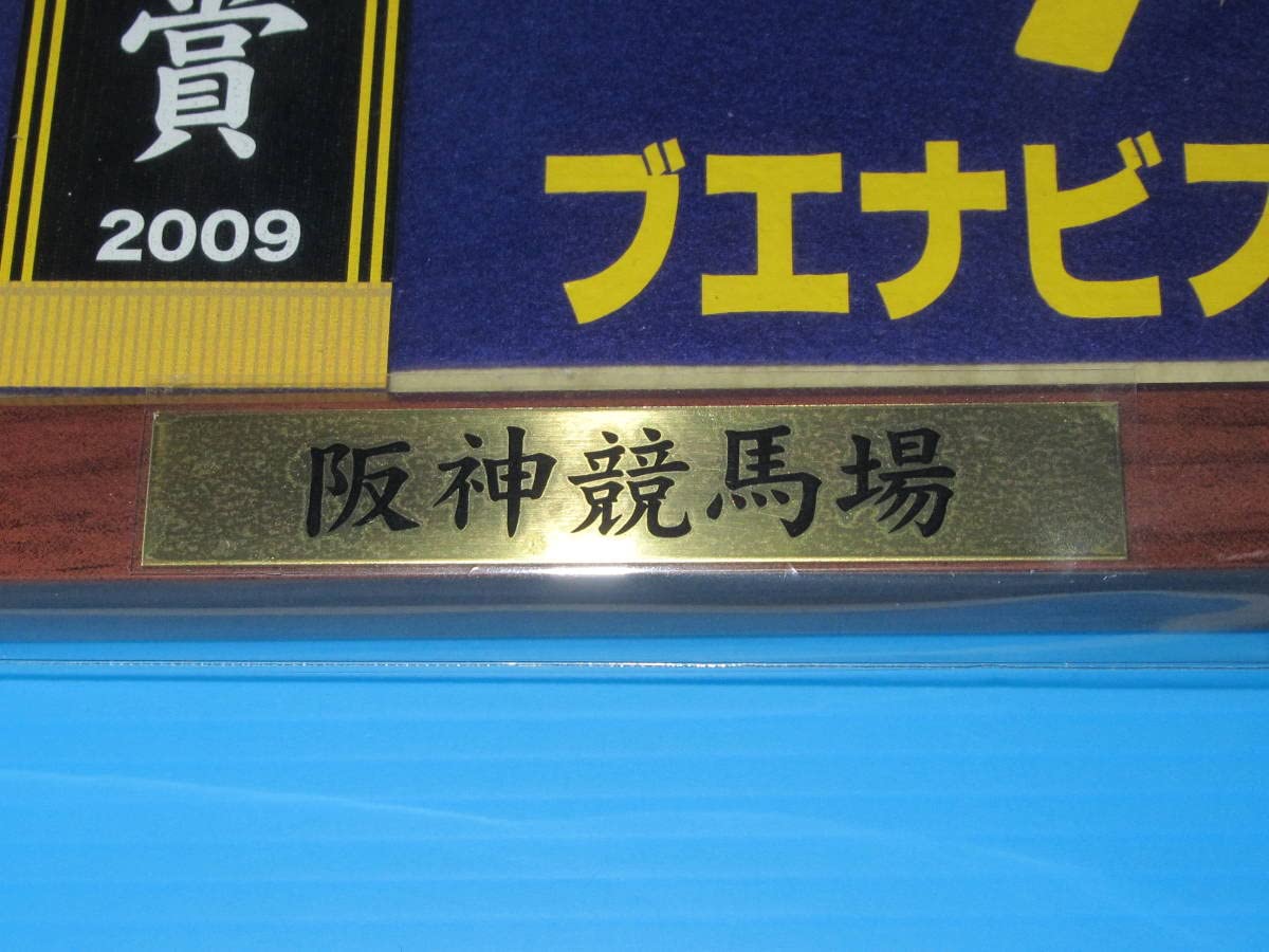 Amazon.co.jp: 匿名 第69回 桜花賞 2009 GⅠ 優勝 ブエナビスタ